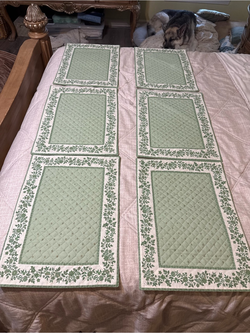 Tissus Toselli French Made Quilted Reversible Sage Green Botanical Placemats 6
